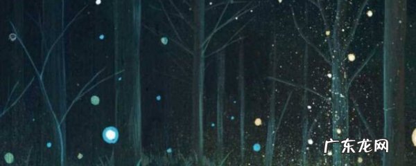 昆虫记萤火虫的外形特点和生活特征,萤火虫的外形特点和生活特征英语