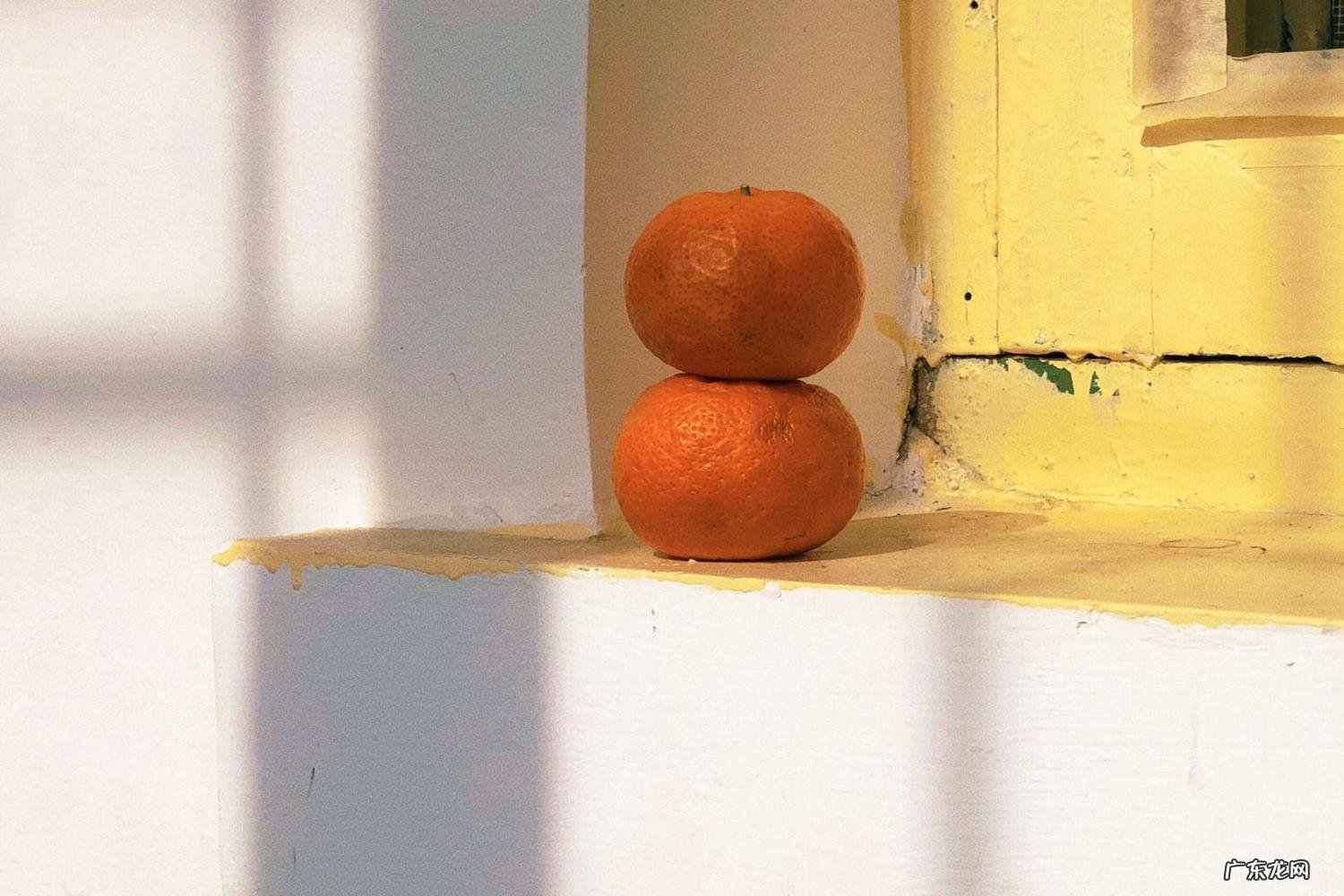 《村居》的诗意 村居的诗意详解怎么写