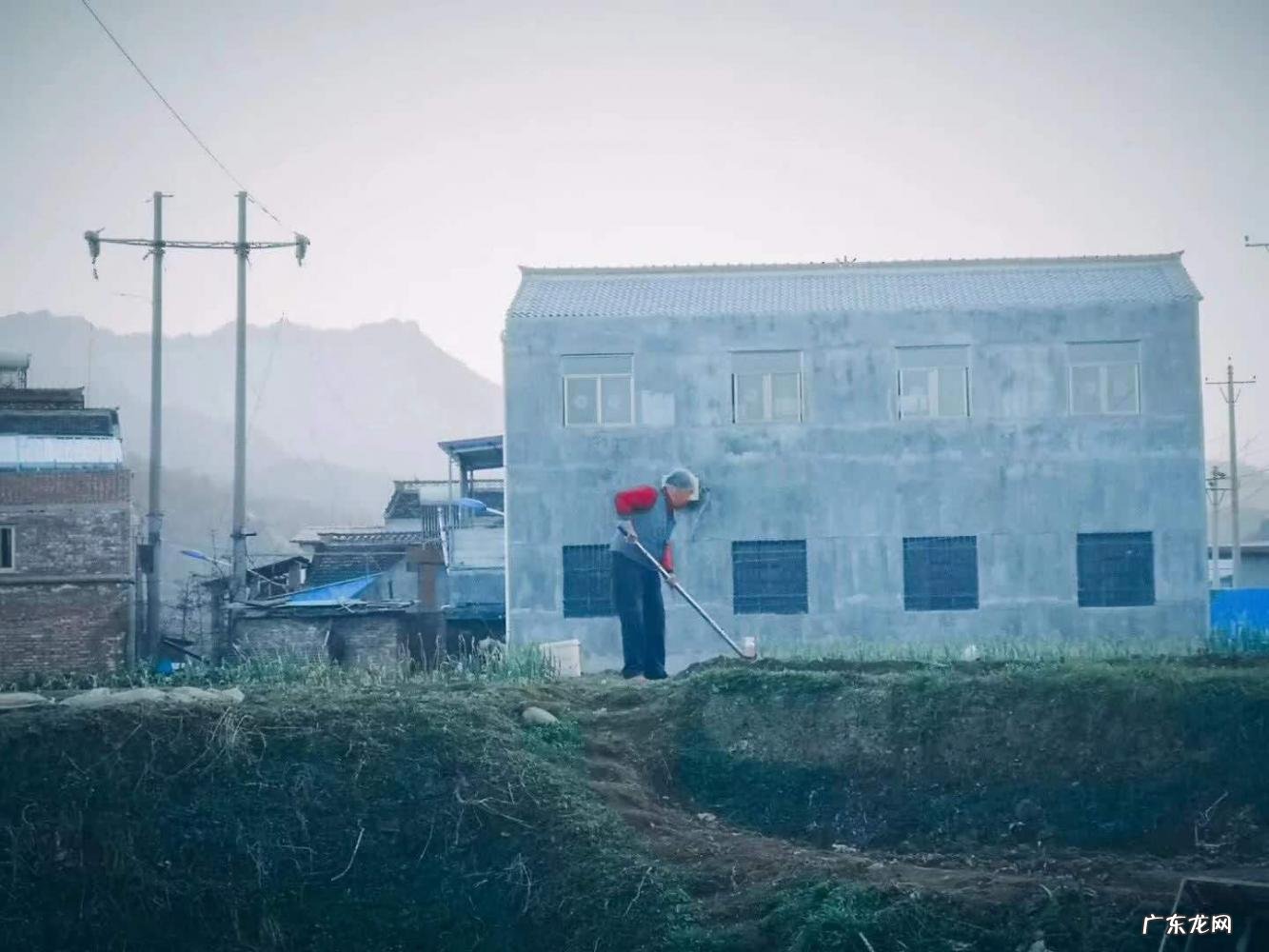 《村居》的诗意 村居的诗意详解怎么写