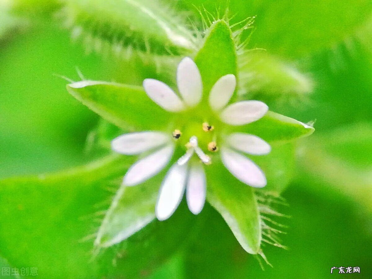 大唐系统类小说排行榜前十名 搞笑大唐小说