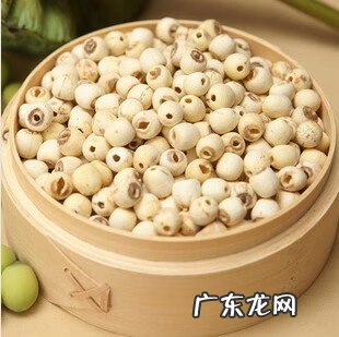 莲子怎么破口 莲子怎样破开