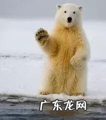 简短的 寓意好的 英文 天使英文名怎么写