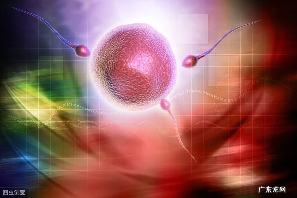 Y精子在女性体内能存活几天 精子在女性体内能存活几天