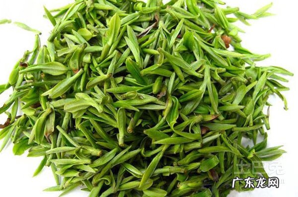 什么人不适合喝毛尖茶 喝毛尖的好处与坏处