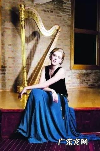 竖琴好学吗一架竖琴大概多少钱呢,竖琴一般多少钱一台