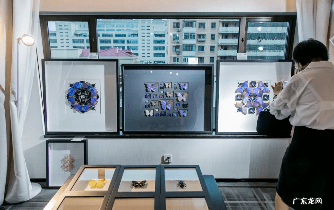 反向关系 反空间