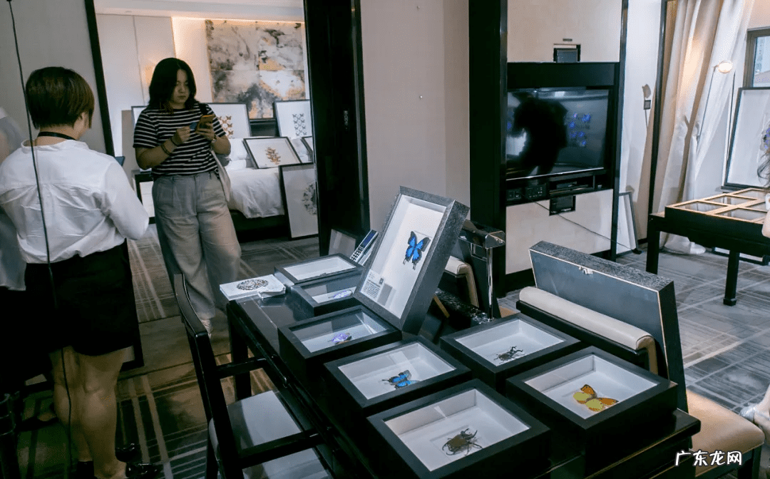 反向关系 反空间