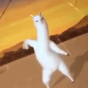 羊驼吐口水说明什么电表箱向皮 羊驼为什么吐口水图片