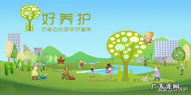 十大风水宝地 仙人掌放在哪里风水好