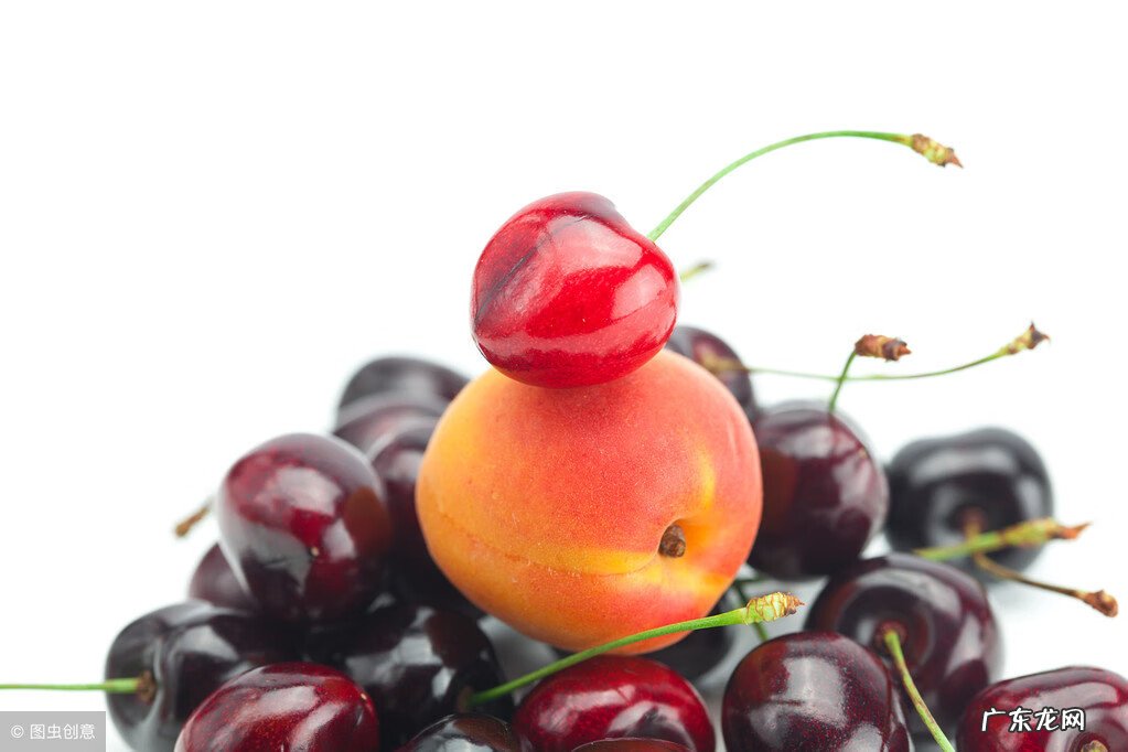 伤口愈合吃什么食物好 伤口愈合吃什么好