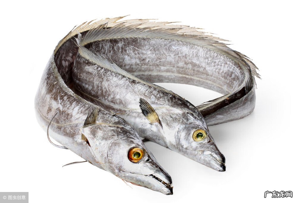 伤口愈合吃什么食物好 伤口愈合吃什么好