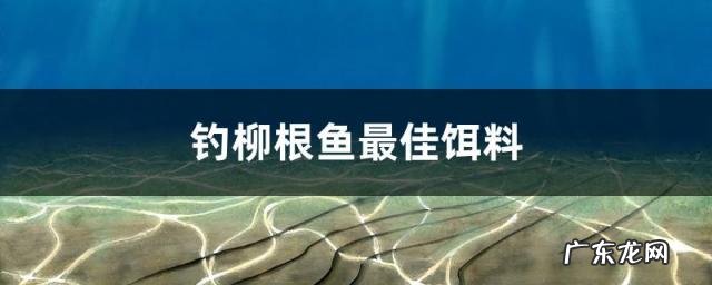 自制钓柳根鱼饵料视频 钓柳根鱼最佳饵料冬天