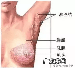 耳朵里面长了一个包 耳朵后面长包是什么原因