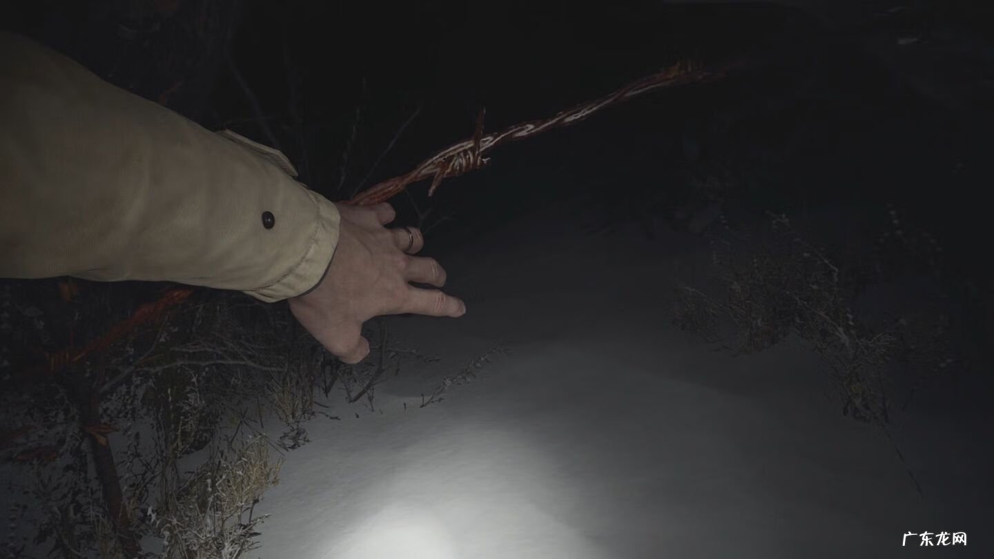 生化危机8免费版 生化危机8剧情