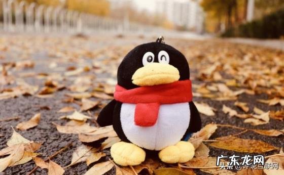 消息已发出但被对方拒收什么意思没有拉黑 发消息被拒收了怎么办