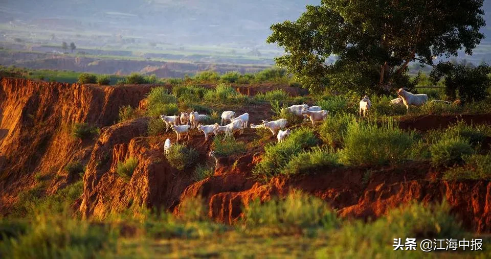 赤精之伞幻化搭配 赤精之伞搭配