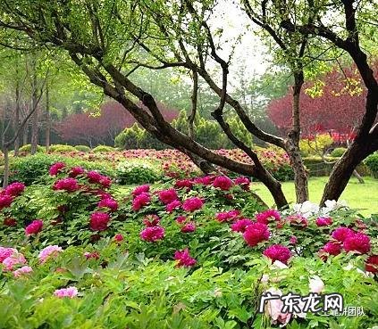 善意的谎言素材 善意的谎言故事大全