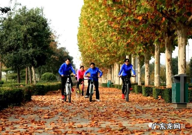 善意的谎言素材 善意的谎言故事大全