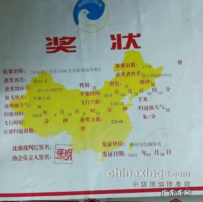 血之游戏冠军是谁 冠军之血