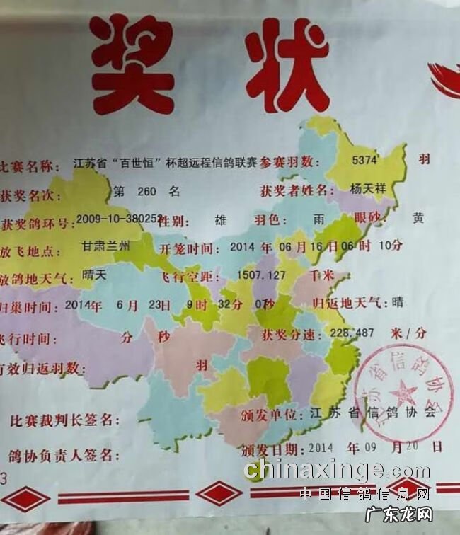 血之游戏冠军是谁 冠军之血