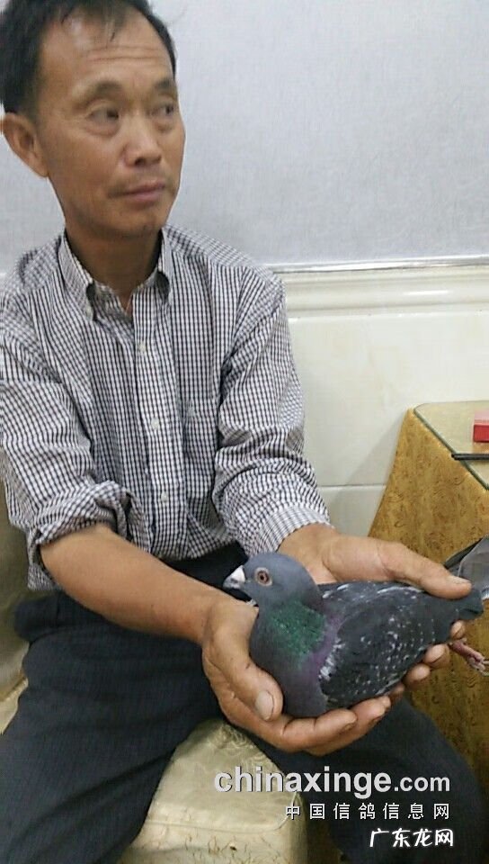 血之游戏冠军是谁 冠军之血