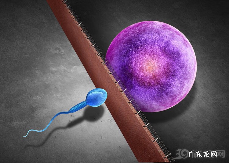 女人上环要注意哪些事项 上环注意事项是什么?