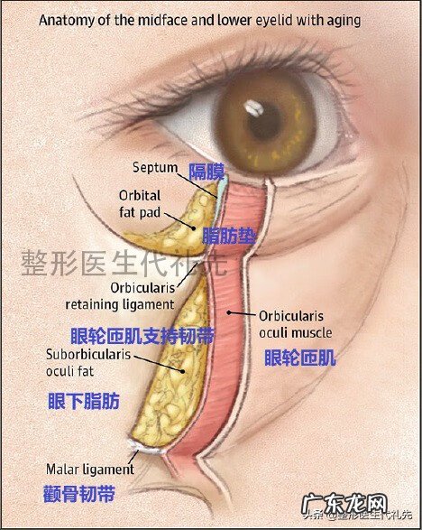眼袋越来越大是什么原因 眼袋大是什么原因?