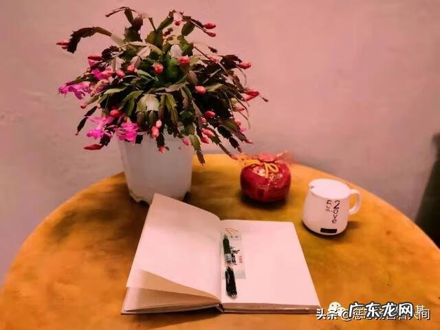 考核绩效怎么写 考核绩效是什么意思