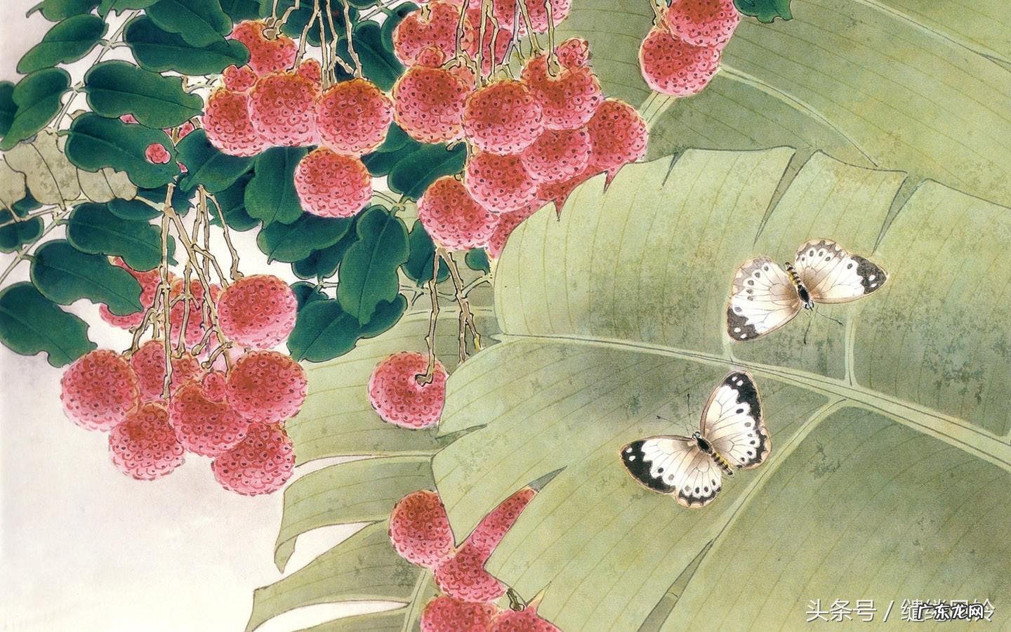 母亲去世悼词 风水先生去世悼词