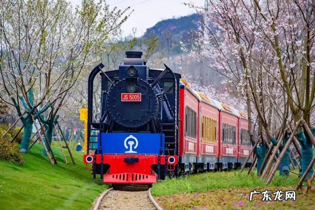 南京文化景点游记 南京游记作文