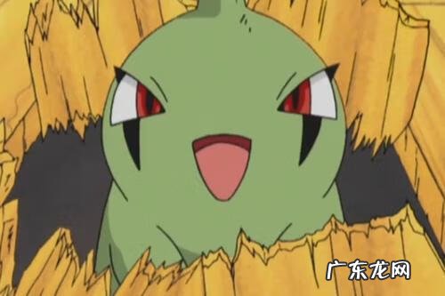 宝可梦xy有全国图鉴吗 神奇宝贝xy图鉴列表