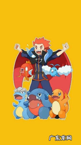 宝可梦xy有全国图鉴吗 神奇宝贝xy图鉴列表