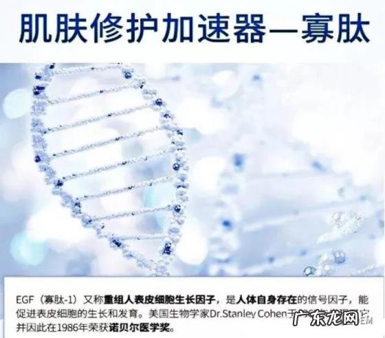 寡肽1的作用与功效 寡肽原液对皮肤的作用怎么用