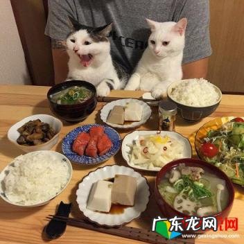 关于晒美食的幽默说说句子搞笑 让朋友请吃饭的搞笑说说