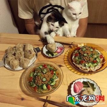 关于晒美食的幽默说说句子搞笑 让朋友请吃饭的搞笑说说