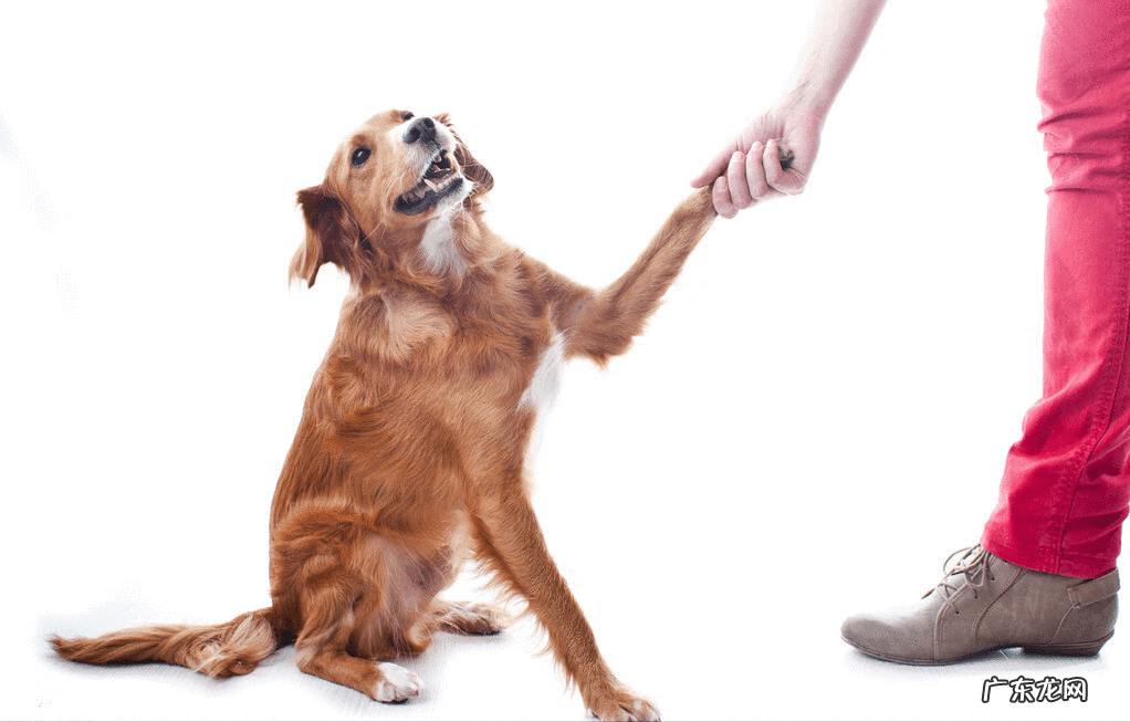 2个月宝宝突然腹泻 两个月婴儿腹泻怎么判断