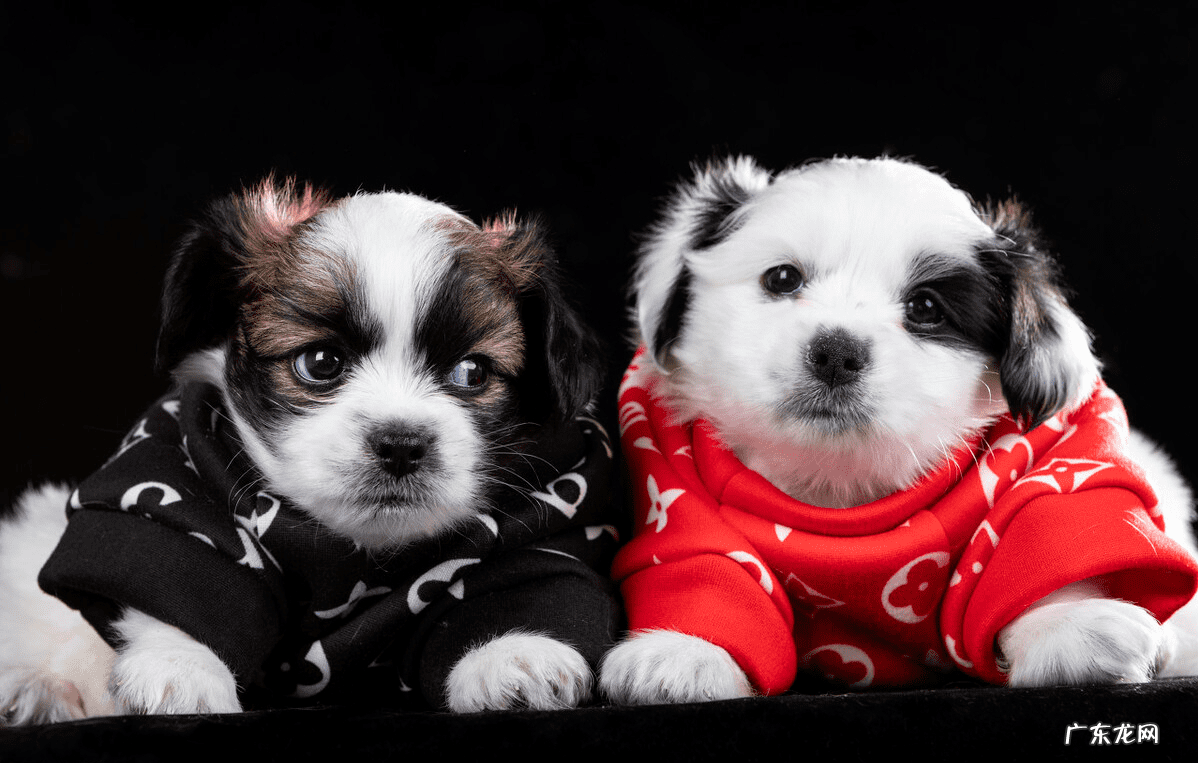 2个月宝宝突然腹泻 两个月婴儿腹泻怎么判断