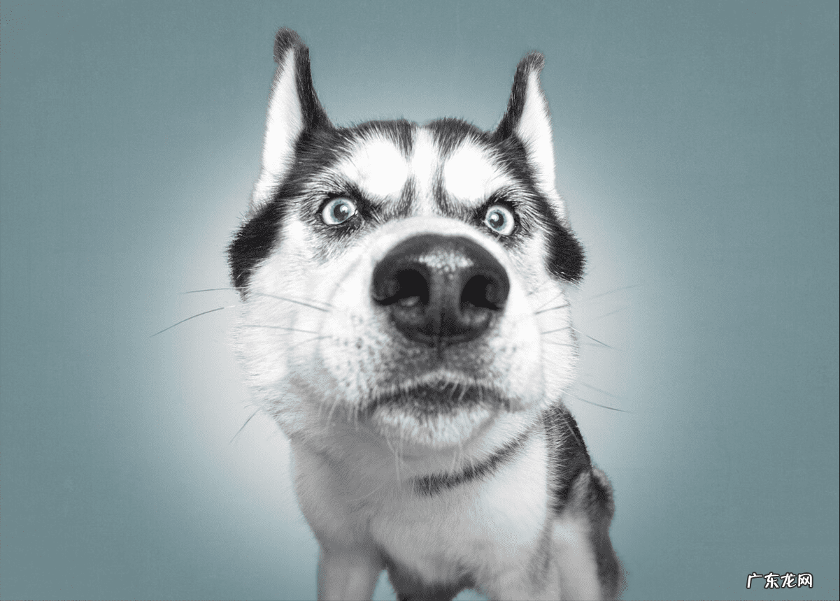 2个月宝宝突然腹泻 两个月婴儿腹泻怎么判断