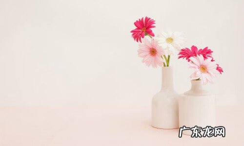 老是生病是不是家里风水不好 一个人多病痛是不是风水问题