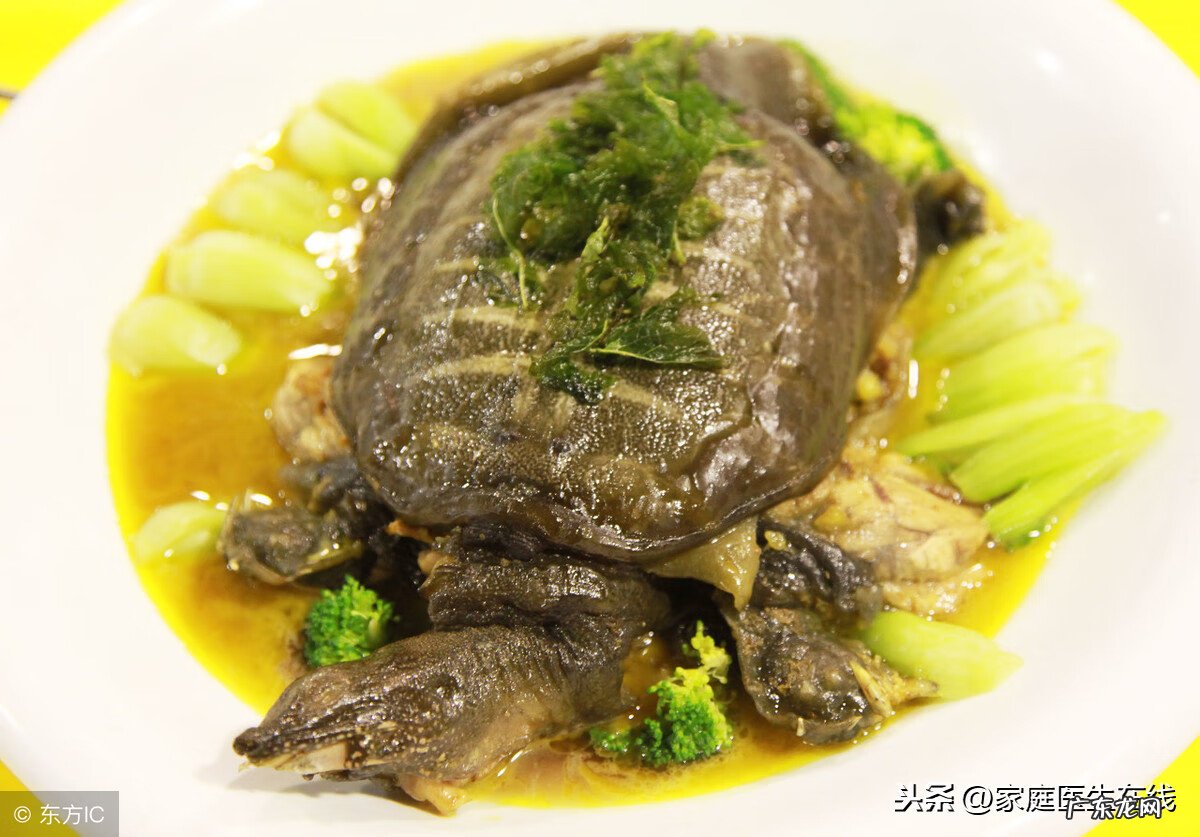 水库鱼有营养吗 水鱼的营养价值及功效与作用