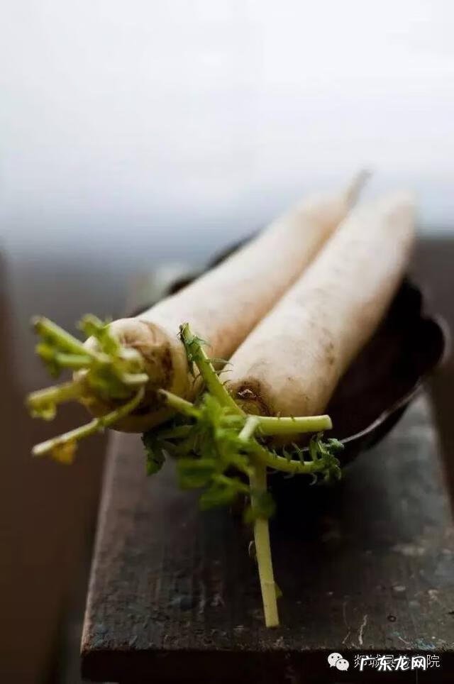 个人道德观演讲稿 道德演讲稿800字