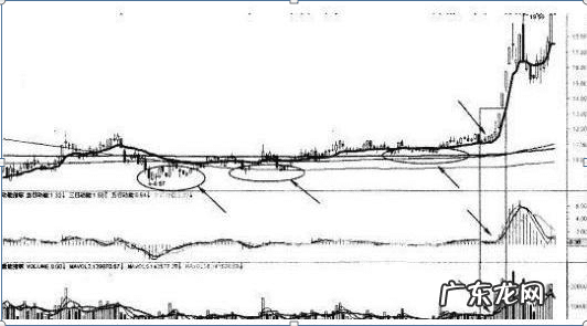 大富翁8研究所怎么用 大富翁8秘籍有什么