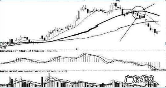 大富翁8研究所怎么用 大富翁8秘籍有什么