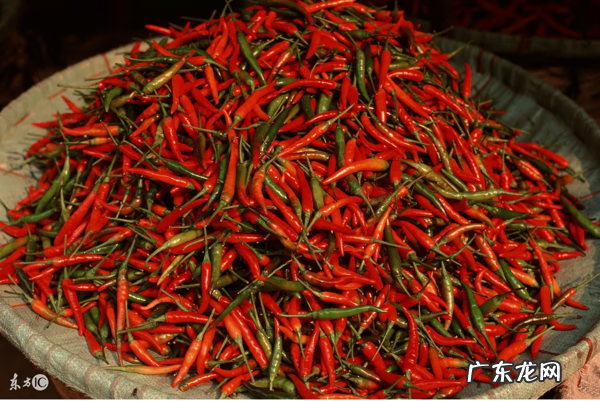 先兆流产不能吃的蔬菜 先兆流产不能吃什么?