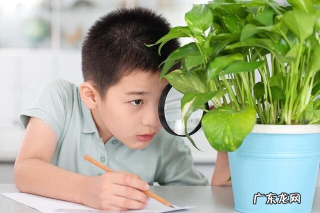 后进生转化工作计划及措施 后进生转化措施与方法