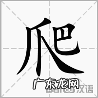 蜱虫会飞吗会跳吗,二十种常见传染病