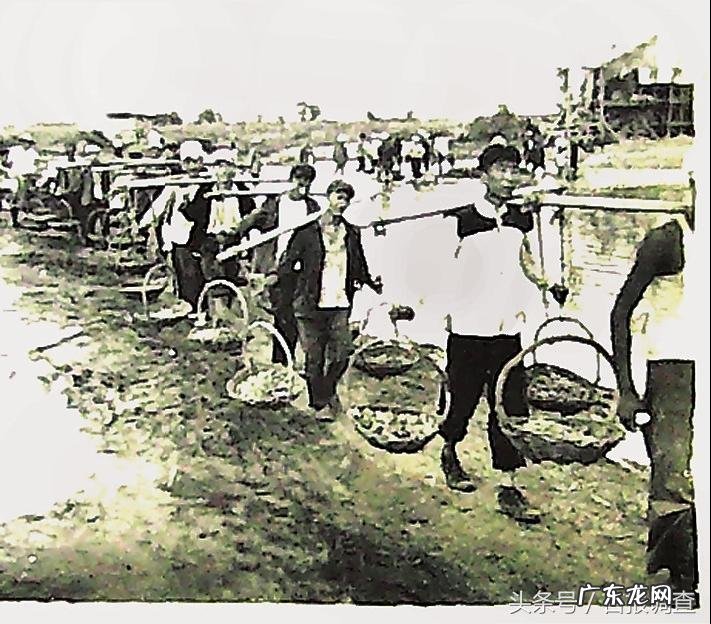 伊通寿山水库 伊通新山水库地址