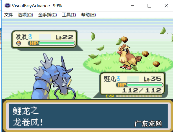 口袋妖怪叶绿 攻略 叶绿386攻略金手指