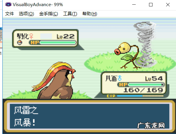 口袋妖怪叶绿 攻略 叶绿386攻略金手指