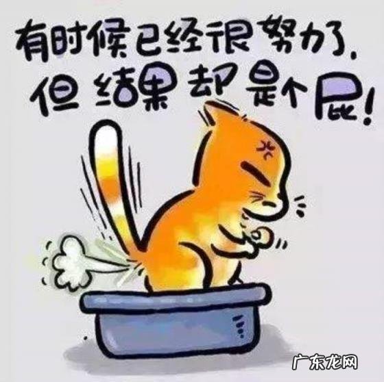 遵从自己的内心英文 学会遵从自己的内心的句子